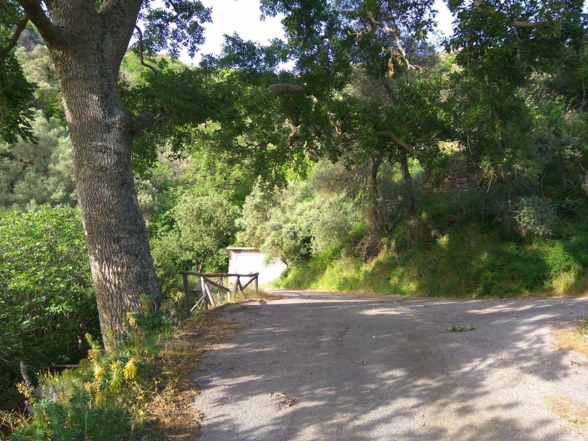 Aerinos House Villa Kültér fotó